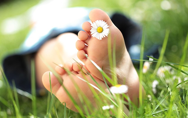 Füße in Wiese mit einer Blume zwischen den Zehen
