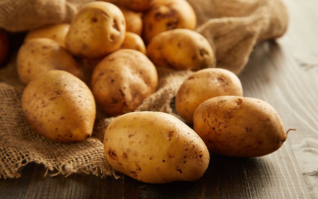 Kartoffeln unter die Lupe genommen